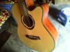 Deviser L-720A Acoustic Guitar